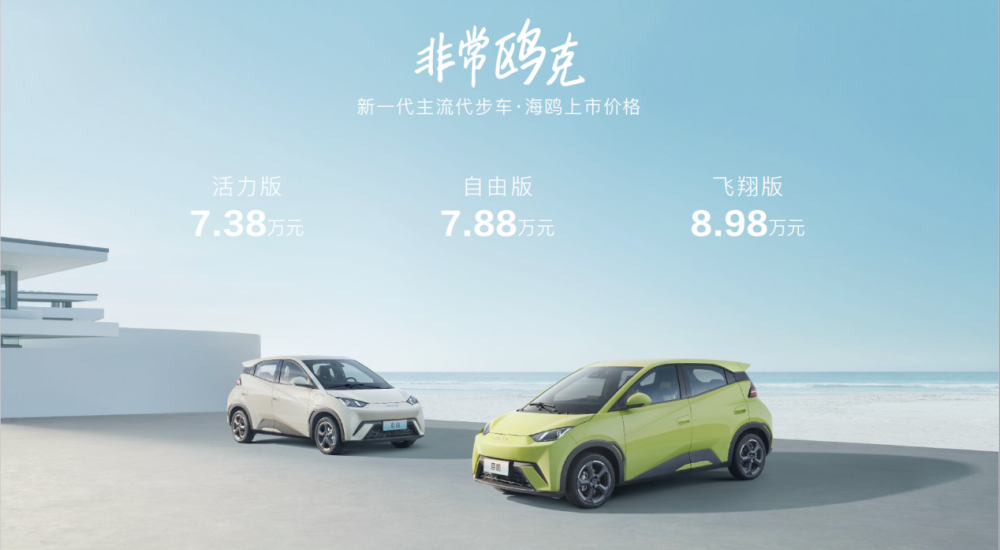 比亞迪海鷗價格背后的故事，與家的溫馨紐帶，探尋海鷗情感價值