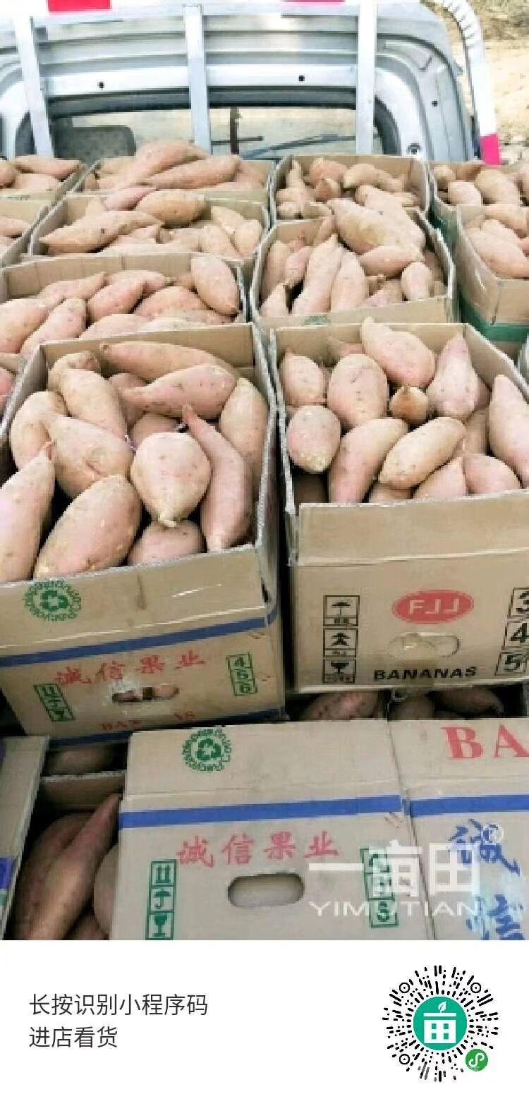 地瓜價(jià)格動(dòng)態(tài)走勢(shì),地瓜價(jià)格動(dòng)態(tài)走勢(shì)，變化中的機(jī)遇與自我超越的旅程