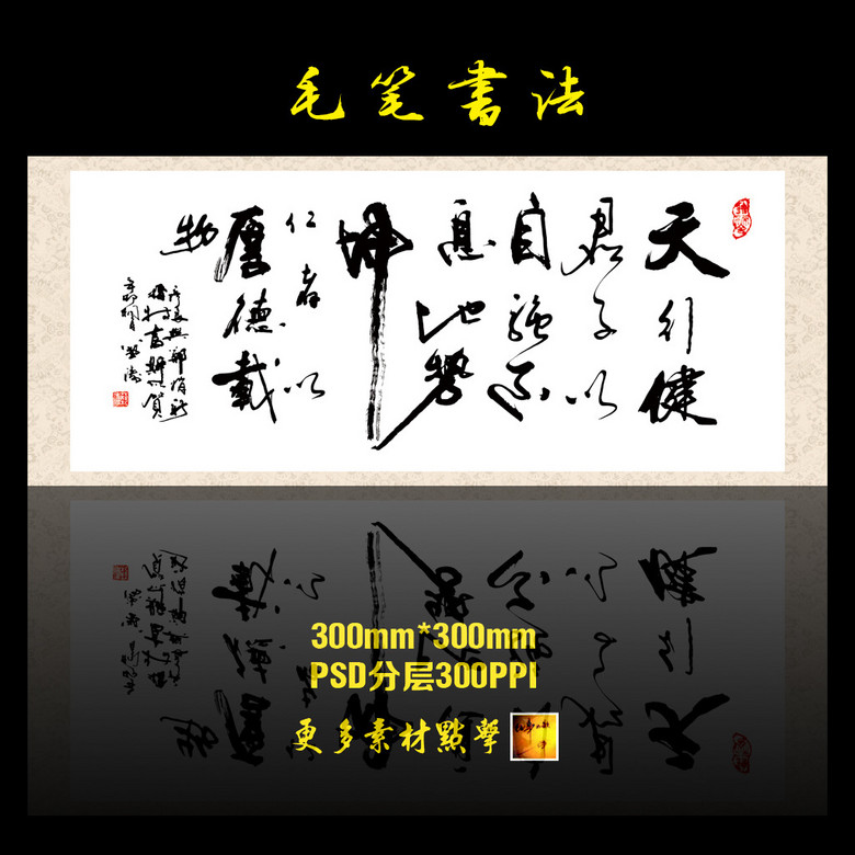 天行健上市,天行健上市，邁向資本市場的堅實步伐