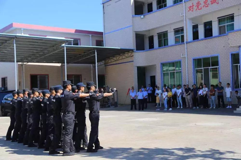 最新動作警片觀看與鑒賞指南