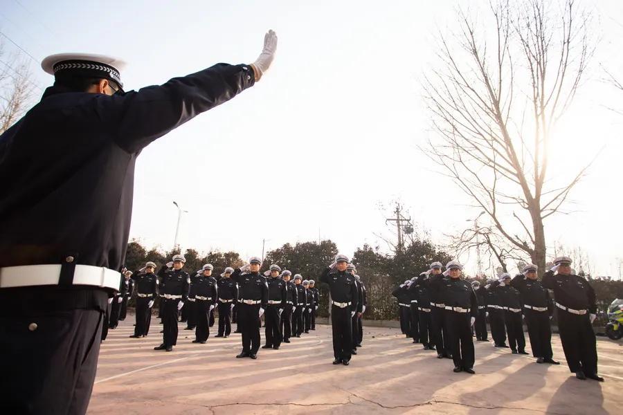 最新動作警片觀看與鑒賞指南