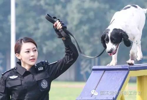 警花與警犬，鐵血柔情演繹真實警魂的演員們