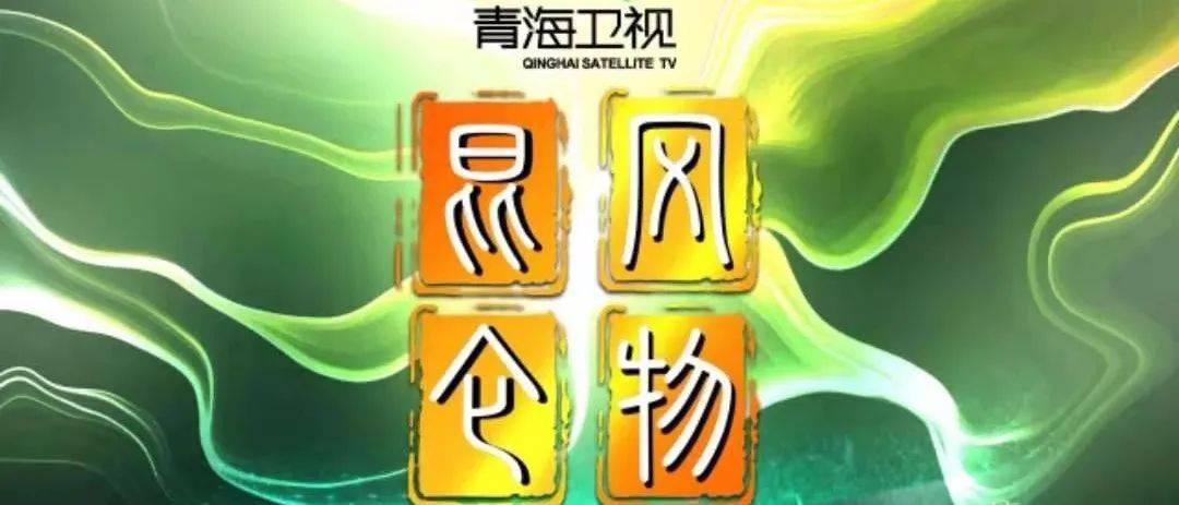 青海人事任免最新動態，溫情故事揭秘人事變遷