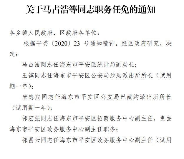 青海人事任免最新動態,溫情故事揭秘人事變遷