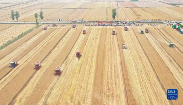 唐河最新二手農(nóng)機(jī)信息獲取與選購(gòu)指南,初學(xué)者與進(jìn)階用戶適用