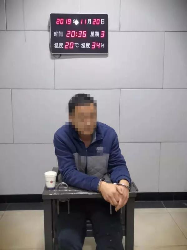 徐水最新命案,痛心悲劇事件揭秘