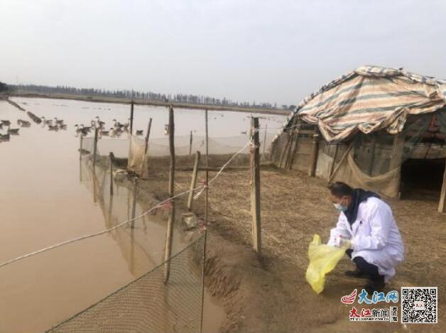 南昌禽流感最新動態,南昌禽流感最新動態