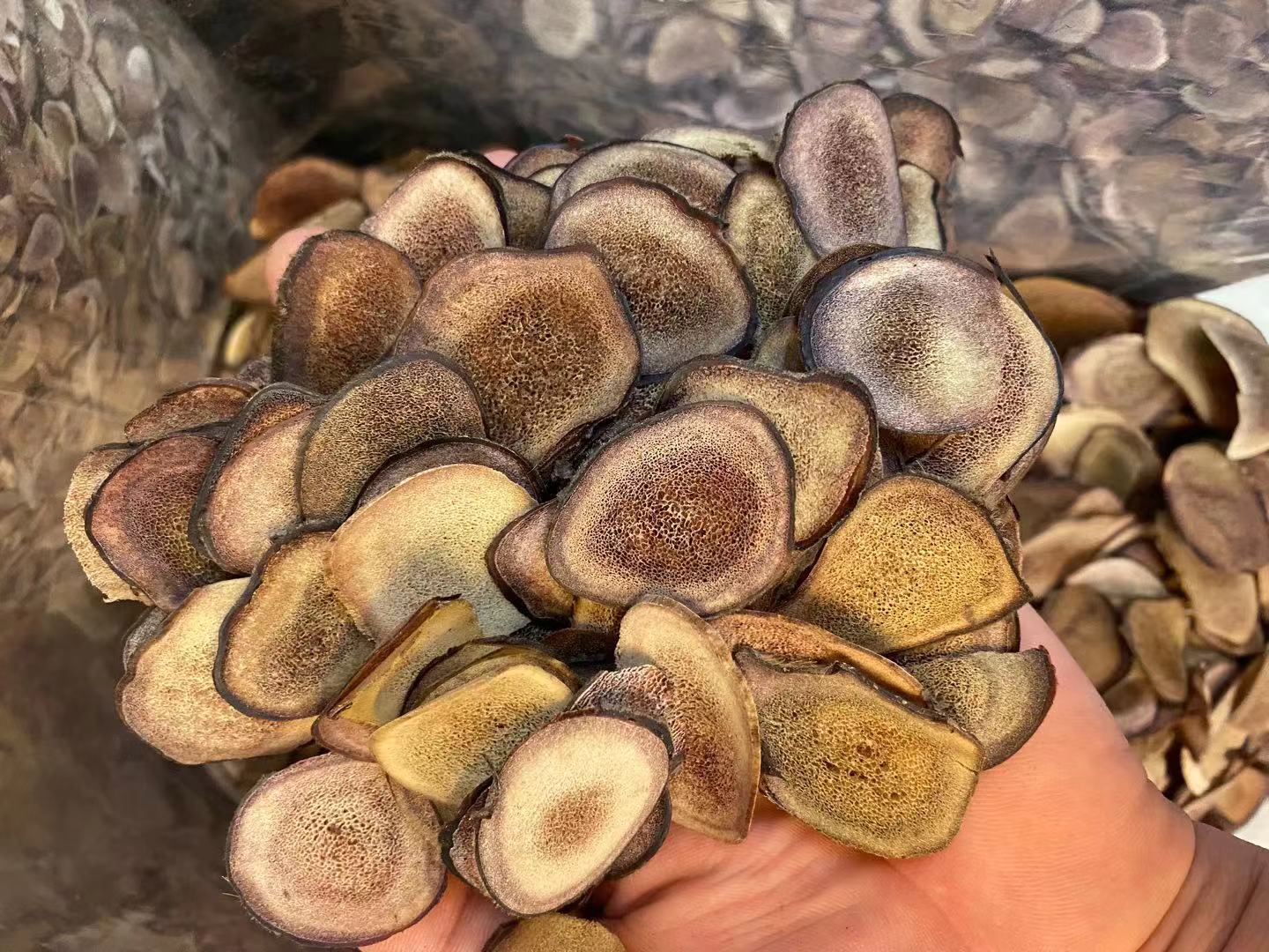 鹿茸500克價格表,鹿茸500克價格表——科技重塑珍稀養生新體驗