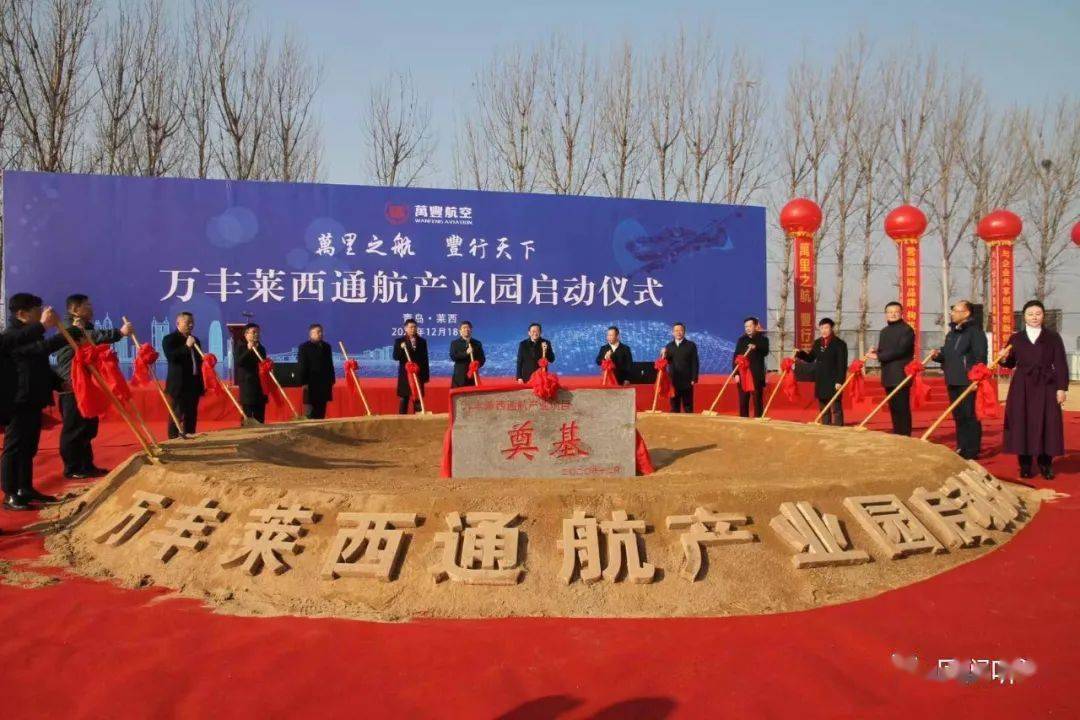 萊西夏日最新動態，溫馨趣事回顧