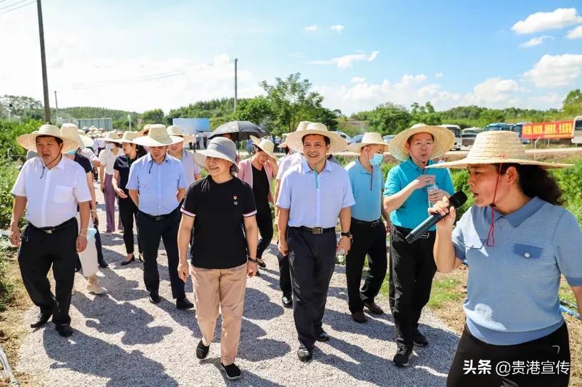 貴港東津公路規劃更新,新篇章開啟,公路上的溫情旅程