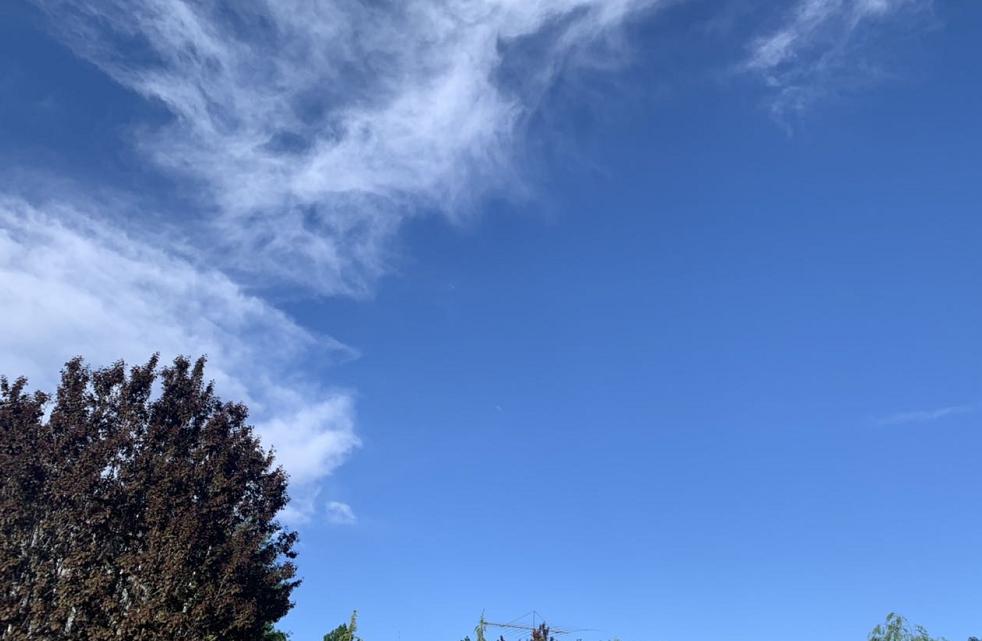 平凡的歲月演員表揭秘,溫馨日常故事的主演陣容