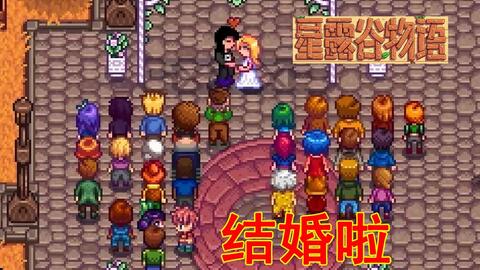 星露谷物語楊桃酒價格詳解及購買指南