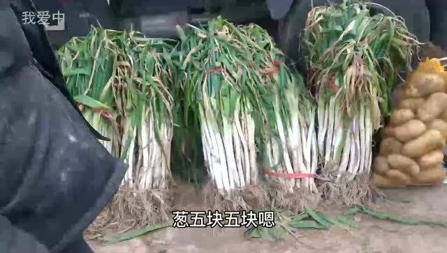 今日大蔥價(jià)格行情詳解，獲取與分析價(jià)格信息的指南