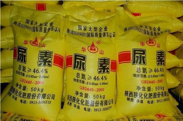 河南尿素今日最新價格揭秘,探尋尿素之旅的心靈平靜之旅