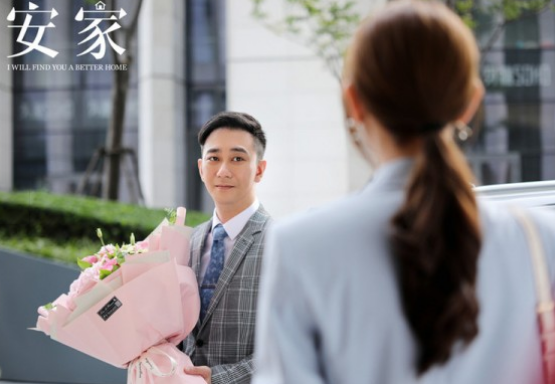 安家天下新動態,深度探索與觀點分析