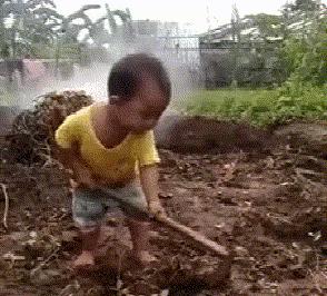 最新遛狗方式,愛的紐帶與溫馨日常的體驗