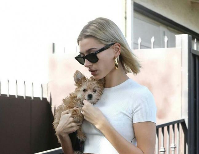 最新遛狗方式,愛的紐帶與溫馨日常的體驗