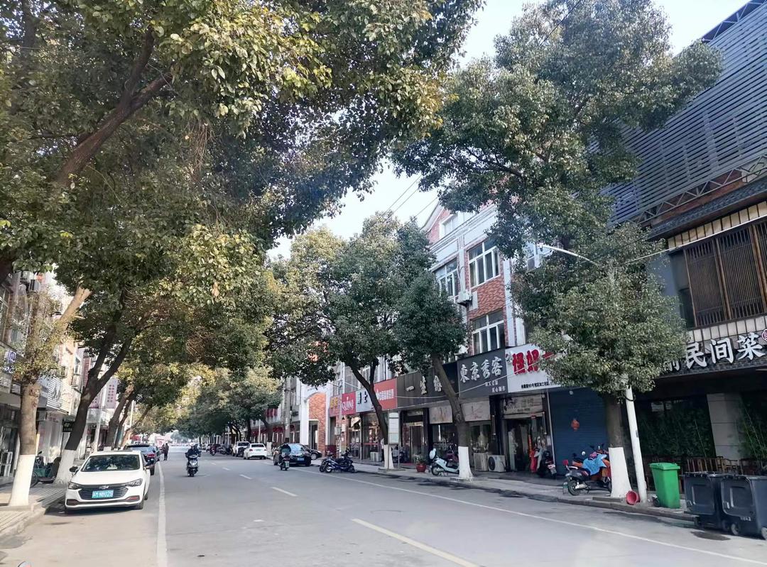 東臺梁垛鎮(zhèn)發(fā)展繁榮新篇章,最新資訊與動(dòng)態(tài)更新