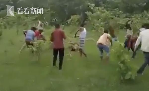 老虎傷人事件最新動態揭秘,小紅書專欄關注事件進展????