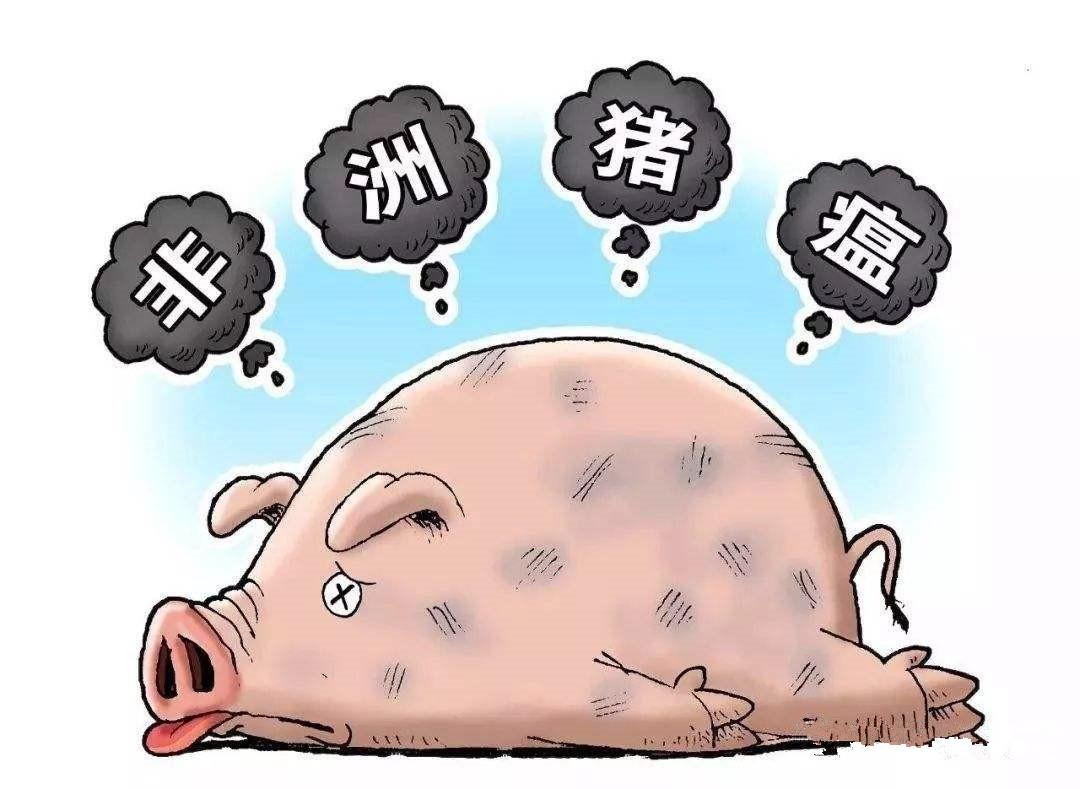 迅雷股票行情,投資熱點、前景分析與預測