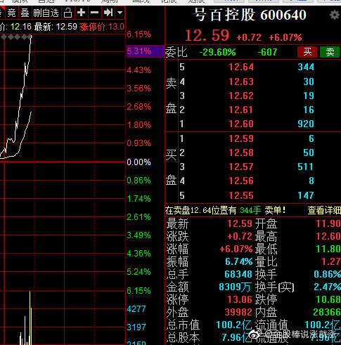 號百控股股票，小巷深處的魅力與探索之旅