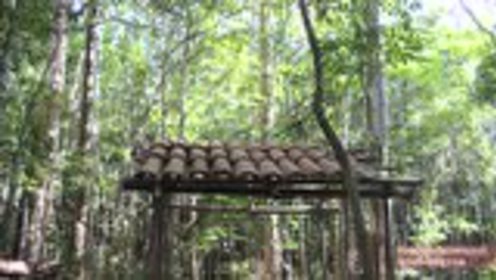 澳洲小哥荒野求生紀實，學習荒野求生技能的必備指南