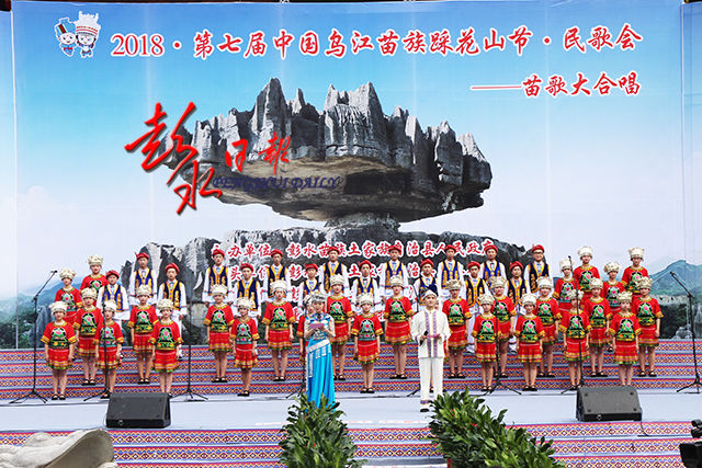 最新苗歌資訊,小巷深處的音樂寶藏探索