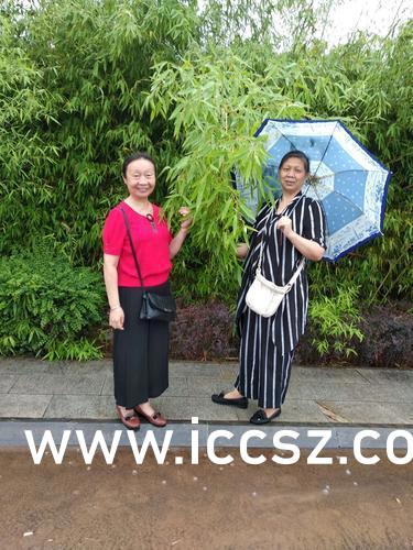 最新美女圖片，時代印記與文化的鏡像展現