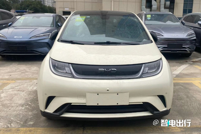 比亞迪海豚最新降價信息,購買指南與詳細(xì)步驟解讀