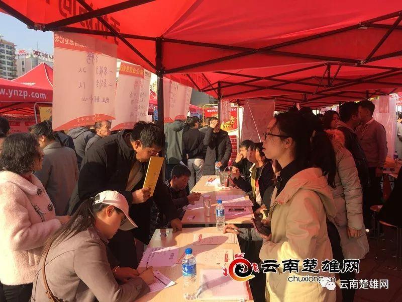 東鄉縣最新招聘資訊，職業發展的理想選擇地，尋找人才與機遇的交匯點