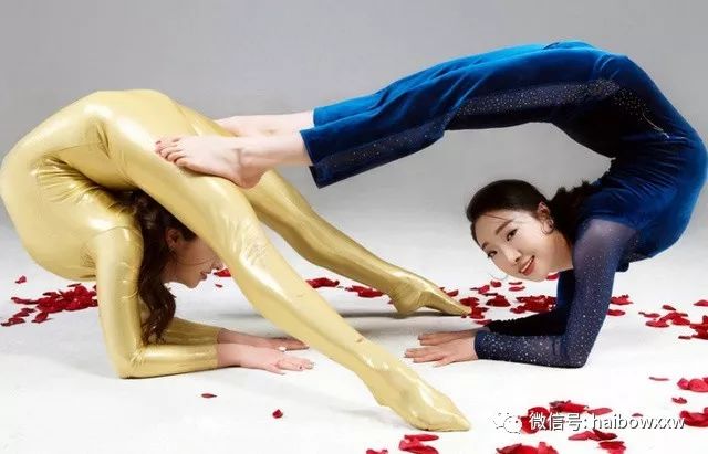 柔術(shù)資訊深度解析，探索世界聚焦要點(diǎn)