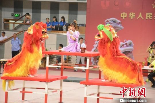 恭城舞獅比賽視頻,科技與傳統(tǒng)文化的璀璨融合展現(xiàn)