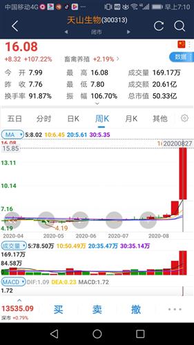 最新操縱股市小說及其創作步驟指南