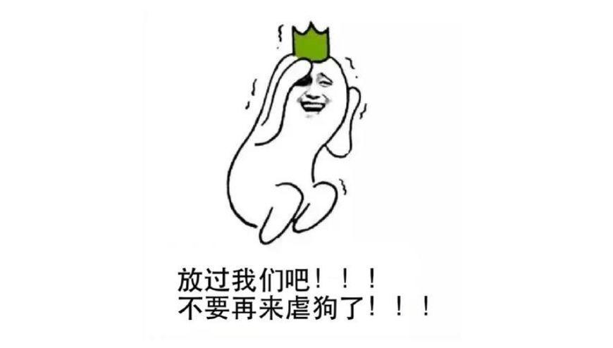 牙動漫,從種子到夢想的綻放之旅