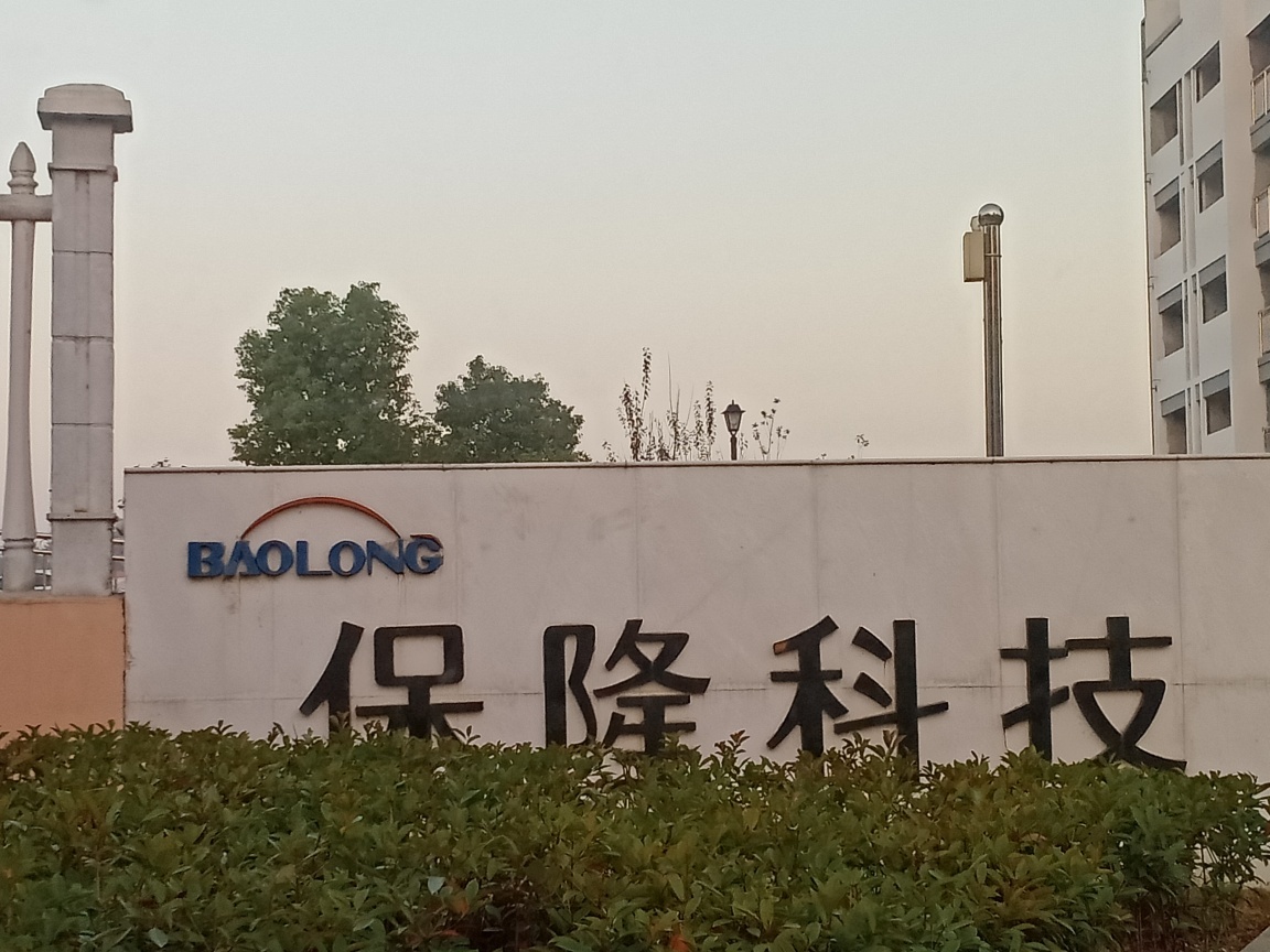 保隆科技最新動態，小巷寶藏的魅力與特色小店的無限探索