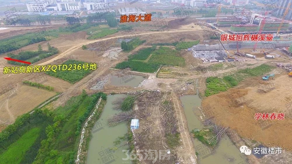 合肥渦陽路最新動態更新,發展概況與最新進展