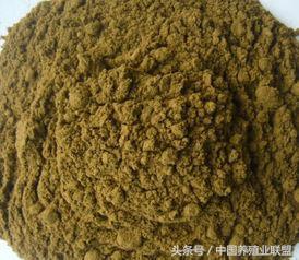 魚粉市場今日行情,友情與陪伴的溫馨故事展開篇章