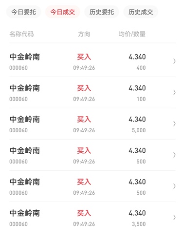 中金嶺南行情深度解析，最新動態與走勢分析