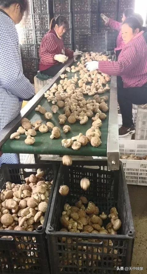 中脈上市指南，詳細步驟帶你了解中脈上市之路