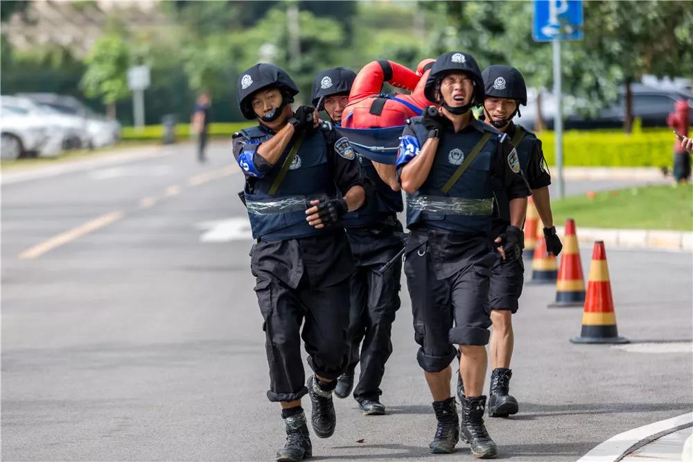 電視劇武裝特警演員表，自信、變化與成就感的勵志之旅探索
