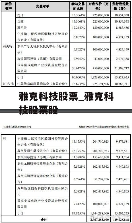雅克股票深度解析,投資價(jià)值的全面剖析