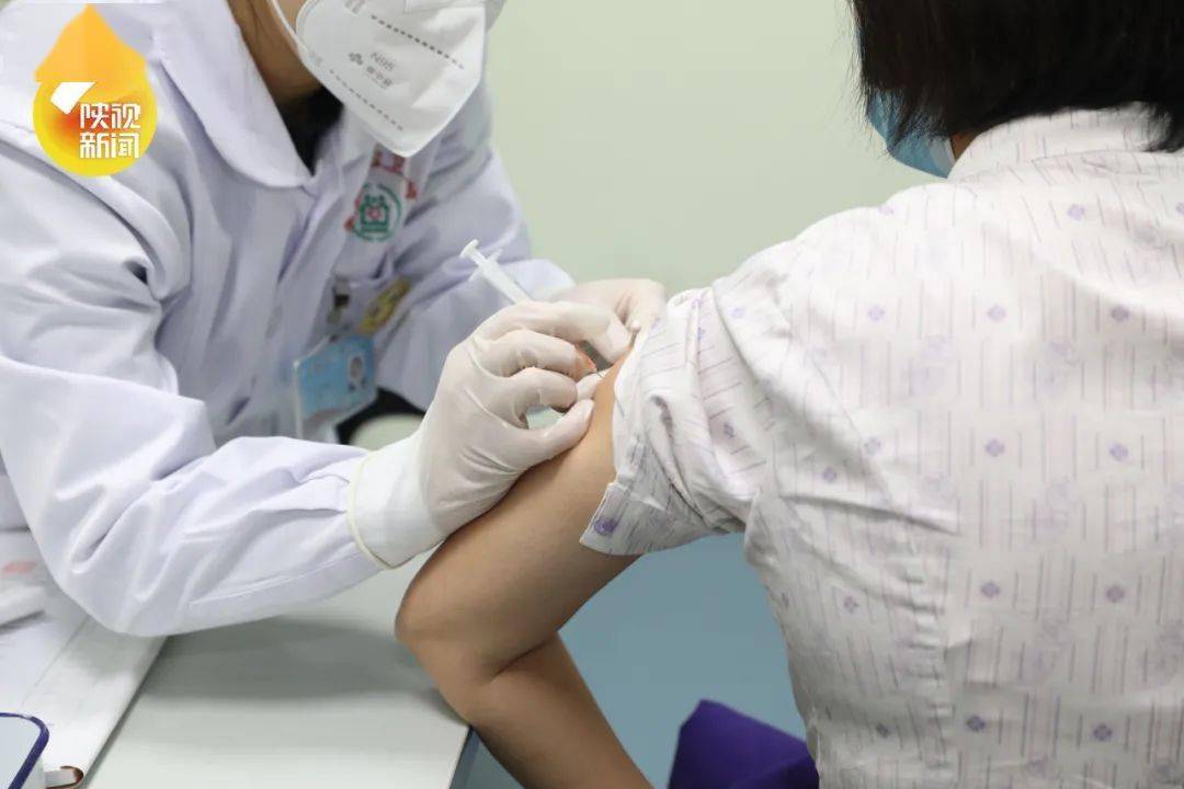 陜西最新病癥論述概述