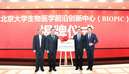 醫(yī)學(xué)創(chuàng)新前沿動態(tài)揭秘,巷弄深處的神秘寶藏探索