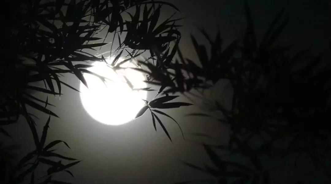 最新安康人事動態及步驟指南