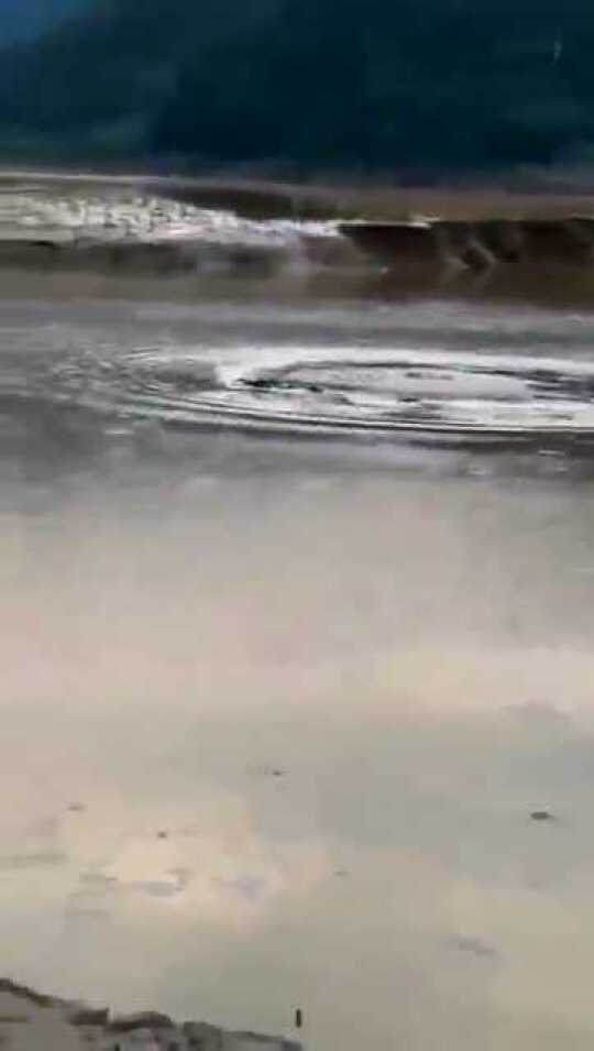 羅平板橋神秘生物最新報道,不明生物現身!