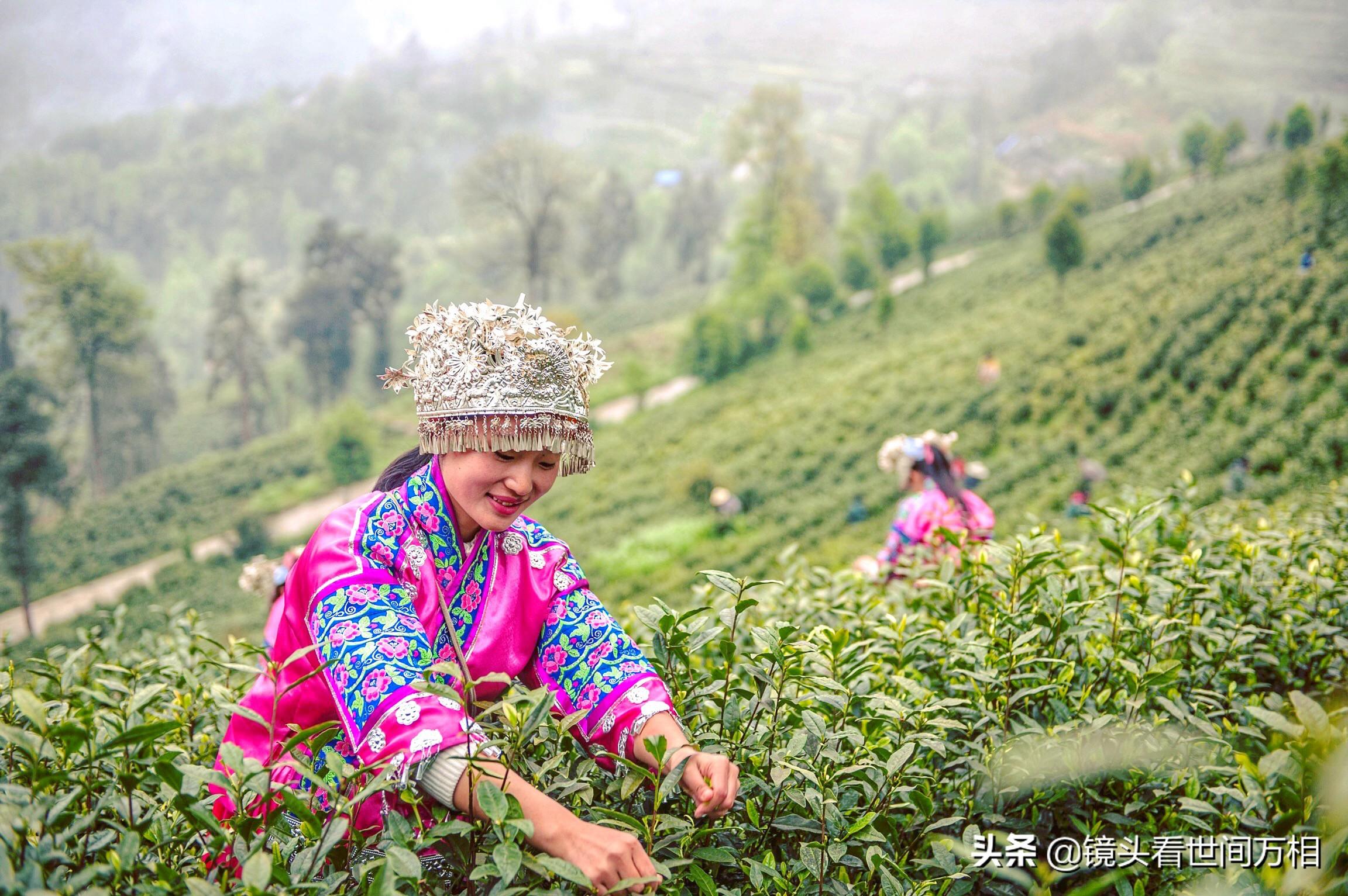 黔南新聞快訊，新鮮出爐的當地資訊，不容錯過！