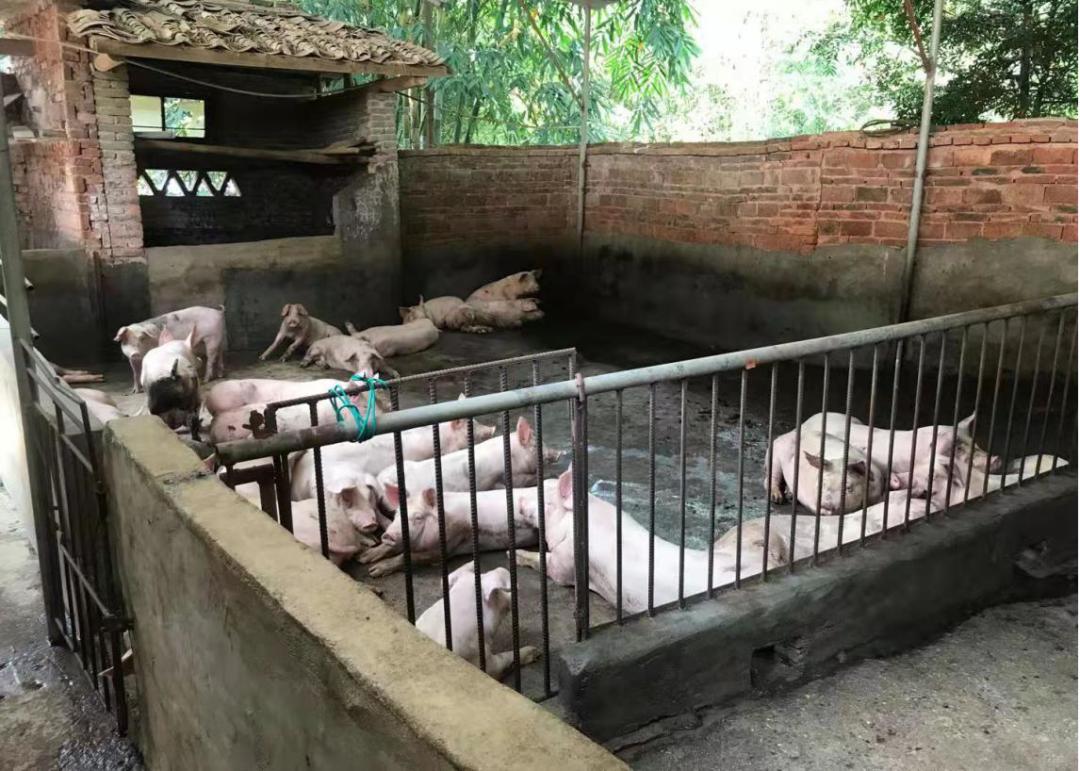 最新保全期限規定詳解,背景、影響及地位分析