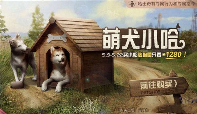 新型寵物風潮，另類寵物的興起、爭議與介紹