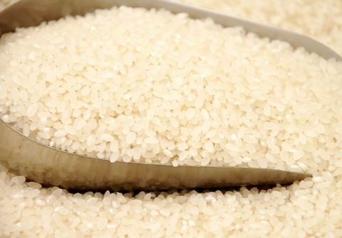 全球大米市場(chǎng)最新行情概覽與未來(lái)趨勢(shì)洞察