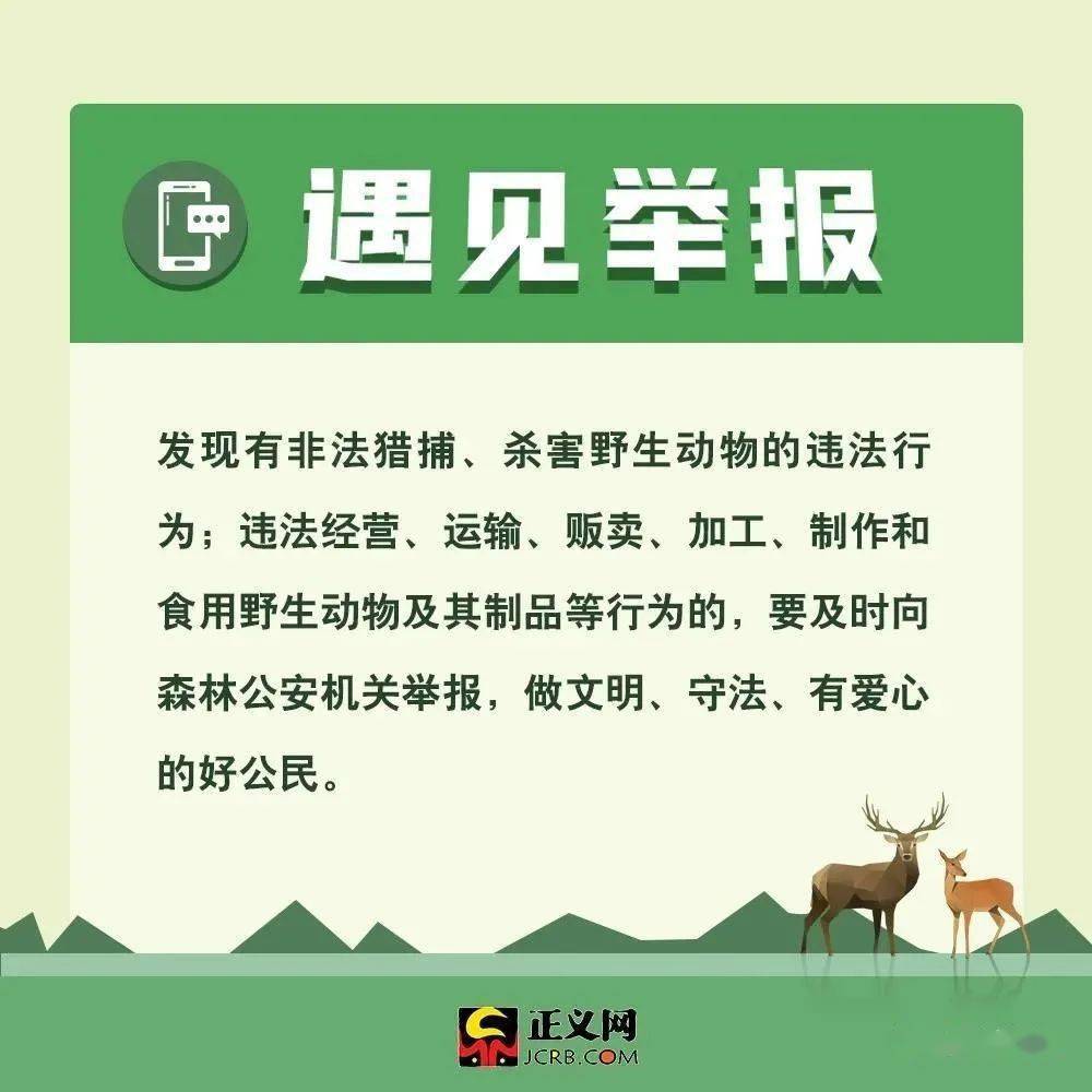 最新野生動物保護法規與小巷深處的綠色秘境探秘，保護行動與獨特小店的獨特故事